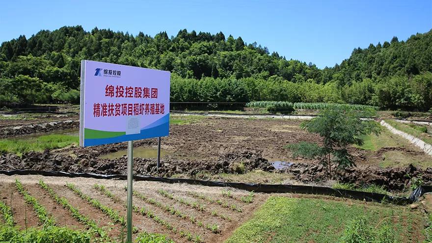 微信图片_20190609214911