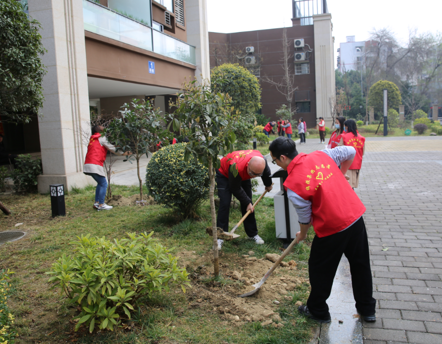 选用图片2 选用图片2