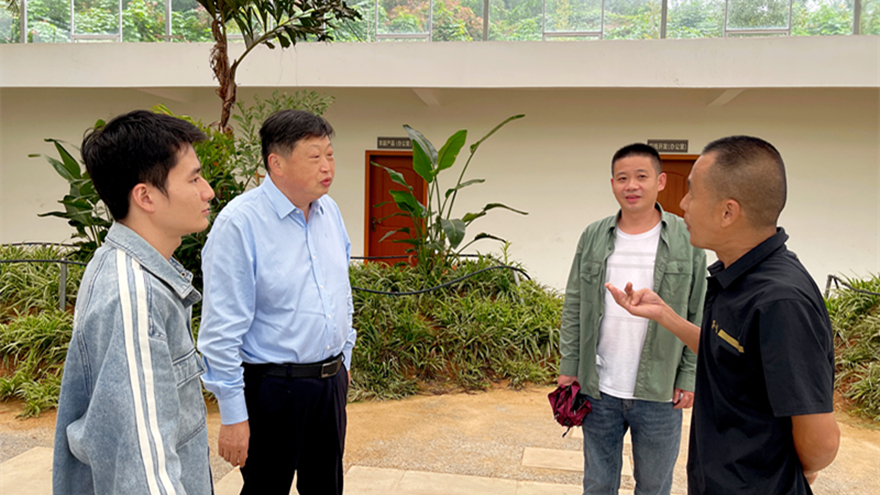 williamhill官网集团党委书记、董事长李桂炳调研乡村振兴驻村帮扶工作